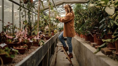 MAY Jardinerie's banner